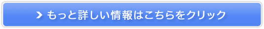 YhXLPAyKYOKIORA(LELI)zgCA̔TCg
